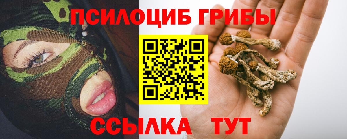 Галлюциногенные грибы MAGIC MUSHROOMS Гусь-Хрустальный
