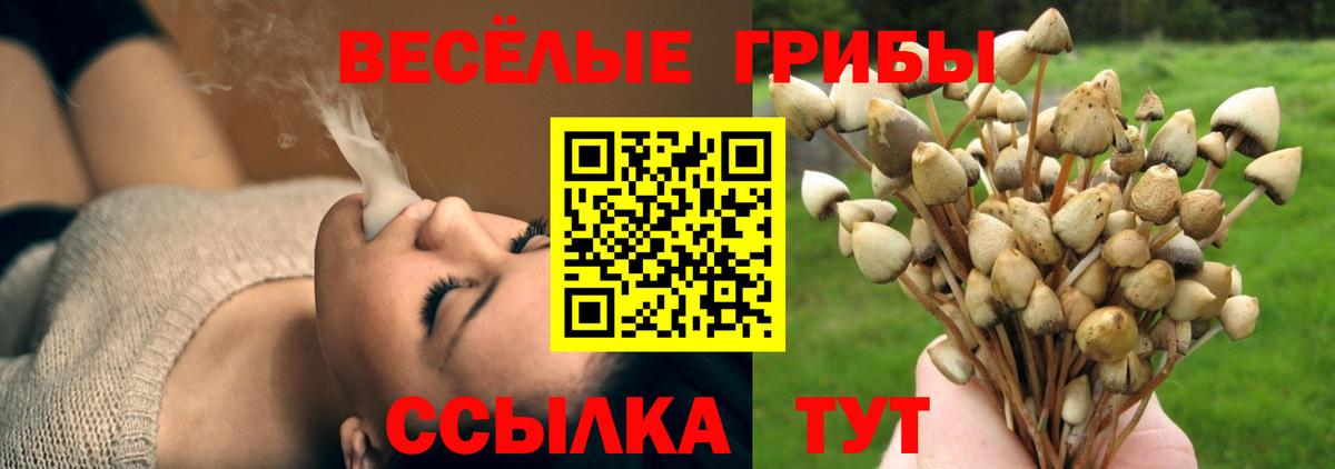 Гусь-Хрустальный  Псилоцибиновые грибы Psilocybine cubensis  Галлюциногенные грибы Magic Shrooms  Вход с VPN 